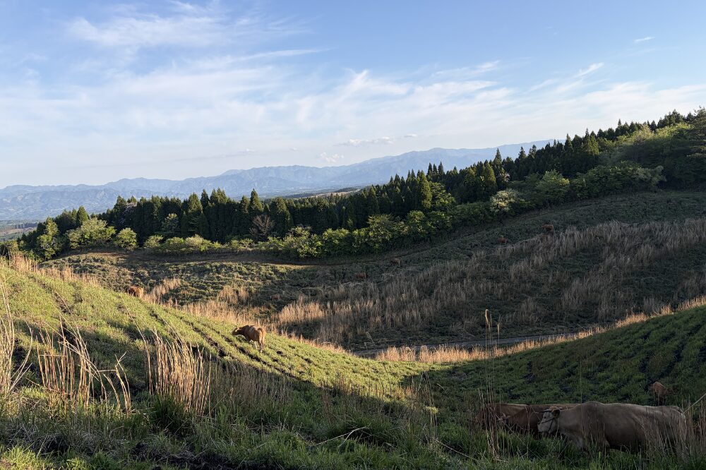2026 ASO VOLCANO TRAIL 6
